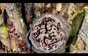 Rando Ychoux avec Patrick