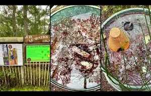 Rando Cugnes avec Ginou