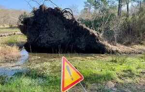Rando. avec Yannick Bisca. GIFI
