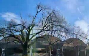 la reprise avec Christine