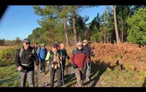 marche nordique 4 décembre avec Yannick (7,3 kms et 5,4 km/h)