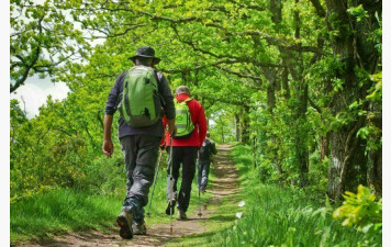 Reprise activités Marche et MN