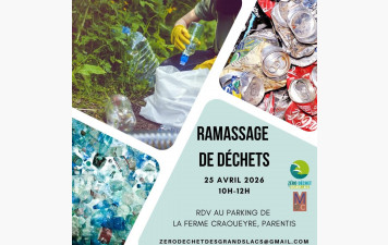 Nettoyage de la Forêt