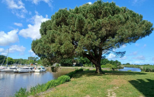 LE TEICH