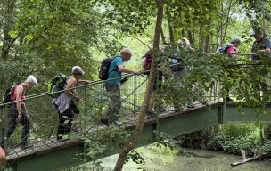 Séjour Venise Verte