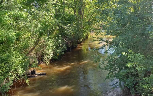 LE TEICH