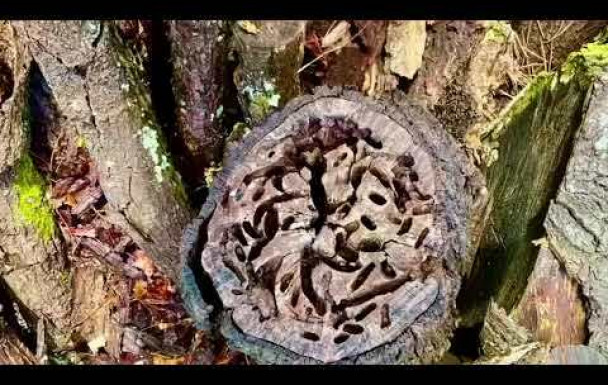 Rando Ychoux avec Patrick