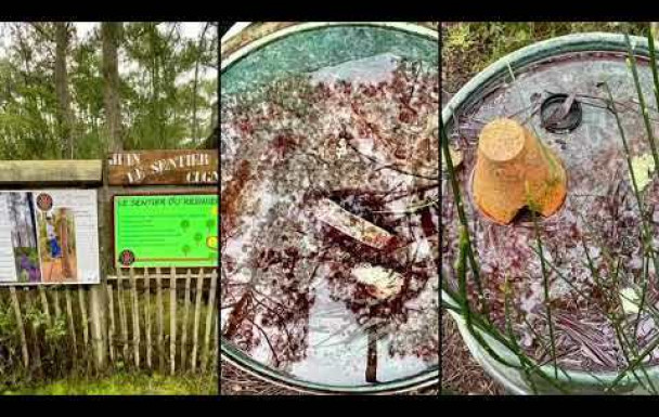 Rando Cugnes avec Ginou