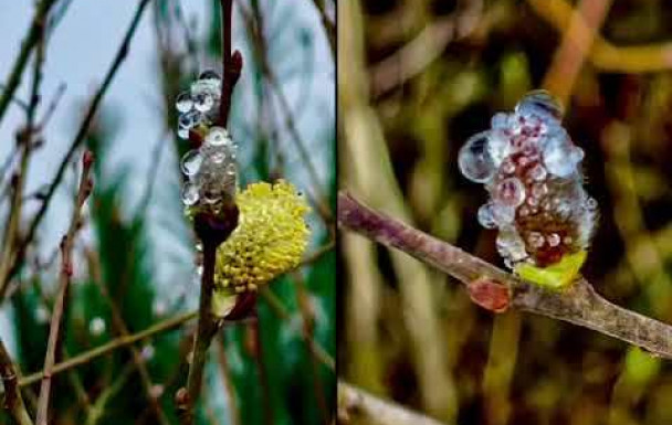 Ychoux : première pour Michel C
